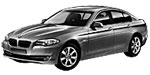 BMW F10 P1AA9 Fault Code